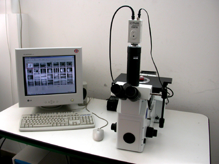 Microscopio rovescio OLYMPUS GX51