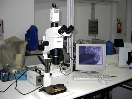 Strereomicroscopio OLYMPUS SZX12